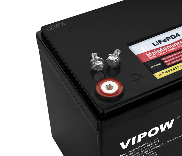 Акумулятор Vipow LiFePO4 100Ah з BMS (BAT0496) BAT0496 фото