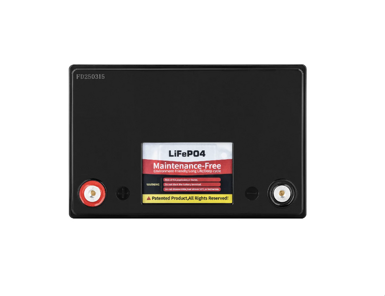 Акумулятор Vipow LiFePO4 100Ah з BMS (BAT0496) BAT0496 фото